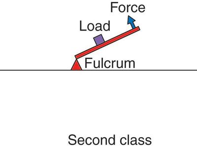 What is the mechanical part of a comb called?