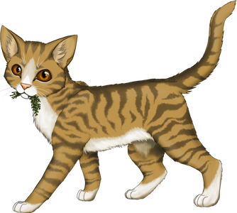 Who did Leafpool love?