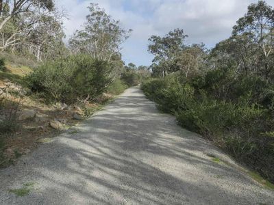 Which trail is considered one of the most scenic routes in Australia?