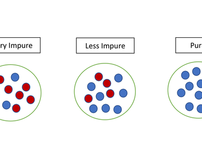 What is the difference between integration and inclusion?