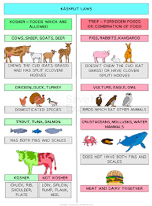 What term describes the food laws in Judaism?