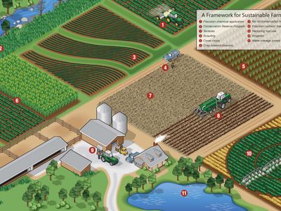 What is the concept of crop rotation in sustainable agriculture?