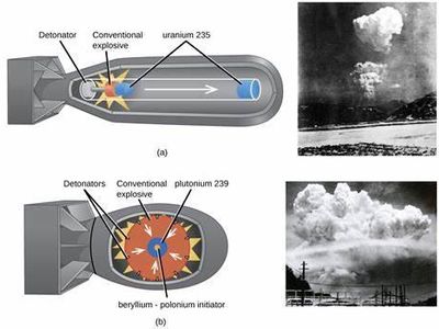 What does the principle of explosion state?