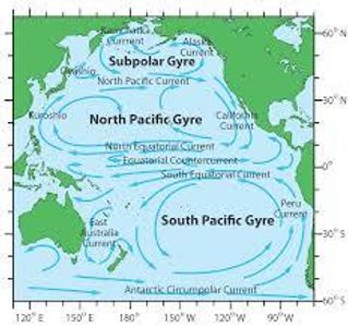 What is the term for a large, circular ocean current?