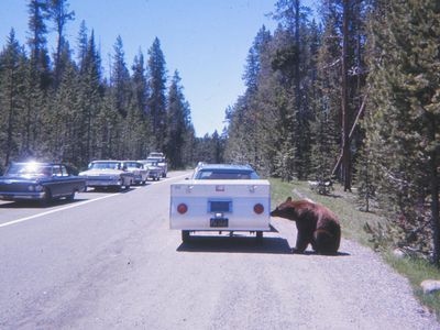 What should you do when approaching a parked vehicle?