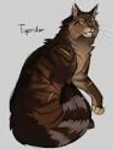 What is Tigerstars mother named?