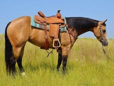 What are the two main riding styles?