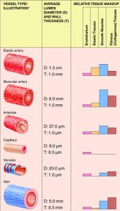 What is the term for the blockage of an artery supplying blood to the heart?