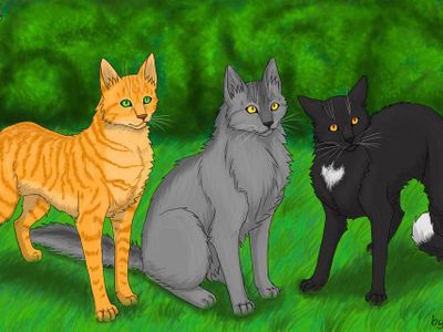 What did Ravenpaw say to Firestar abot the upcoming journery?