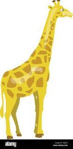 Which animal is known for having a long neck and spots?