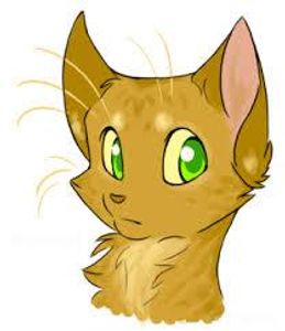 In the book into the wild what is firestar's name before he joins the clan?