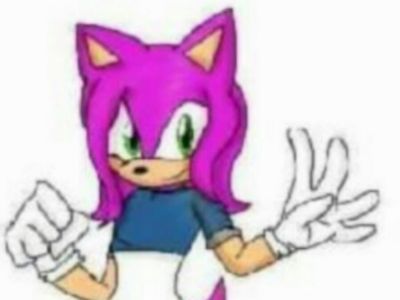 What is the name of this original character? -Is a hedgehog -is owned by @Yamilettethehedgehog101