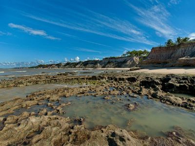 Which landform is formed by the erosion of a coastline?