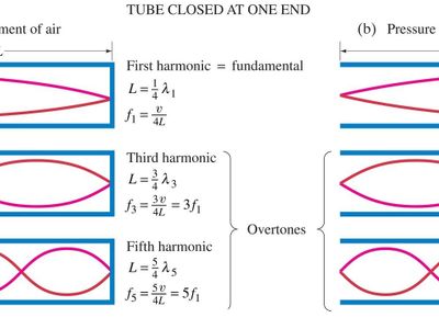 What is the term for a wave that curls over and forms a tube-like shape?