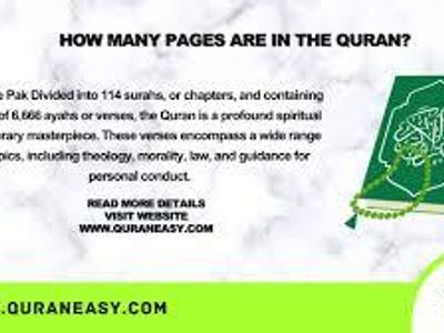 How many chapters does the Quran contain?