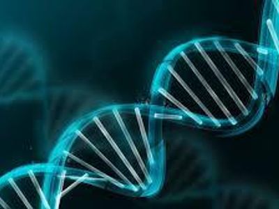 What does DNA mean?