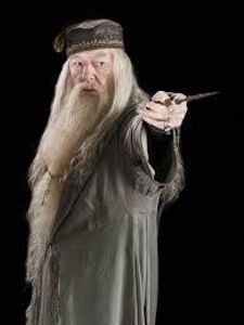 Which of these is prof.Dumbledore full name?