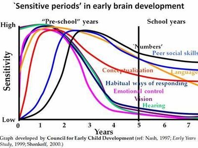 Which of the following is NOT a benefit of early childhood education?