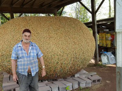 Who holds the title for creating the largest ball of twine?