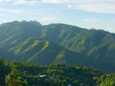 What's the Height of the tallest Mountain in Jamaica