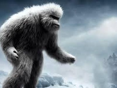 What color is the Yeti's fur often described as in folklore?