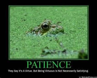 Who said this: "Patience yields Focus"