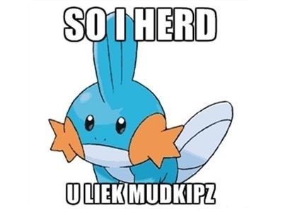 Do U Liek Mudkipz?