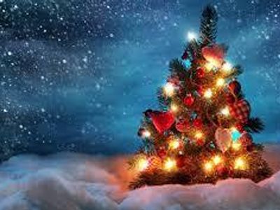 What is the reason for a christmas tree?