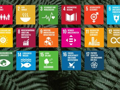 Which of the following is NOT a focus area of Education for Sustainable Development?