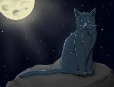 First section: Bluestar First Question; Who was Bluestar's mate?