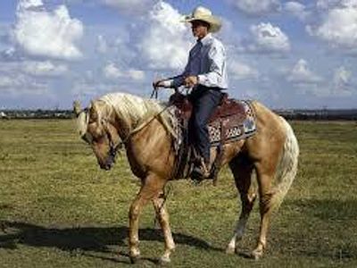 What technique do Western riders use to turn the horse?