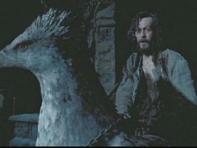 Which name did Sirius Black give Buckbeak?