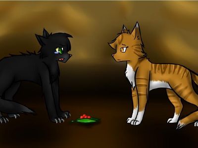 why did hollyleaf try to feed leafpool deathberries?