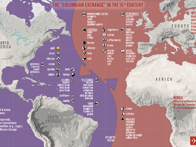 What is the origin country of the milkshake?