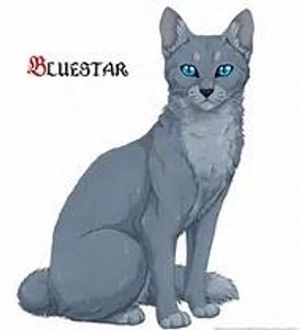 Does Bluestar get her sanity back?