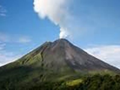 How did The Volcano Of Life (The bird's base) get all lively with trees and flowers? While still being a volcano!