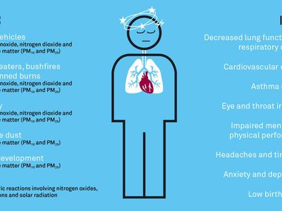 What is a common symptom of hay fever?