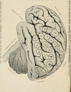 What is the definition of psychology?