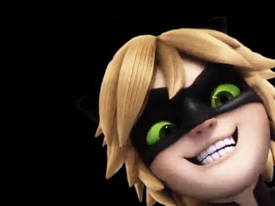 Who is Chat Noir's crush?