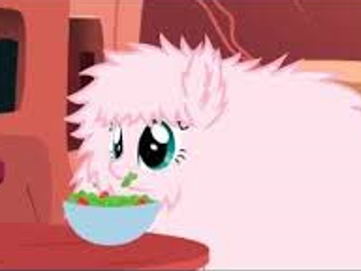 What are the three favourite foods of Fluffle Puff?