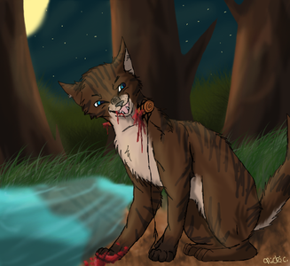 What did Hawkfrost say in Sunset, page 298?