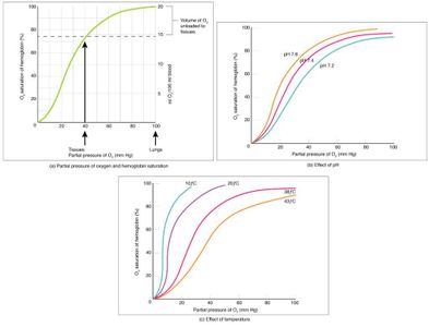 What does a downward sloping demand curve indicate?