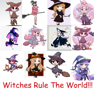 What is the best pet for witches?