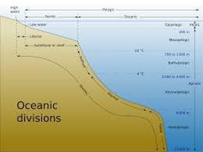 Which ocean zone is known for its high pressure and complete darkness?