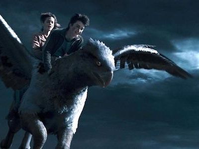 What is the name of the hippogriff Harry and Hermione used to save Sirius?