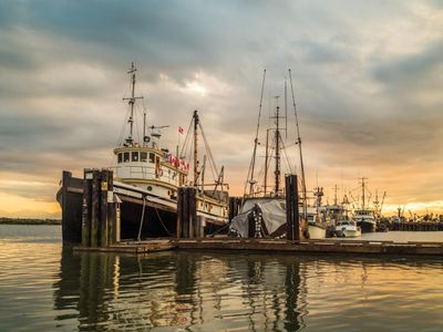 Which fishing boat offers a stable and quiet fishing experience?