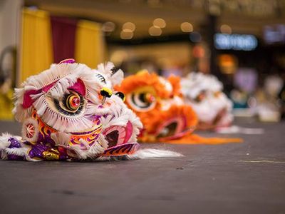 What festival marks the beginning of the traditional Chinese lunar new year?