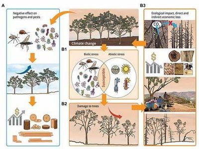 Which term refers to the combined biotic and abiotic factors in an environment?