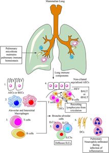 How can you reduce the risk of pneumonia?