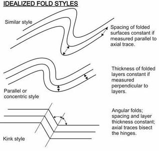 What type of belt is designed to provide back support?